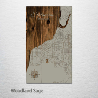 Steilacoom, Washington Street Map