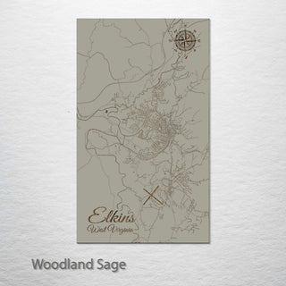 Elkins, West Virginia Street Map